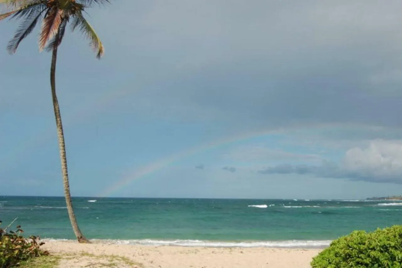 Willa Gardenia- 3BR Dorado- Ocean Views + 3 pools Portoryko